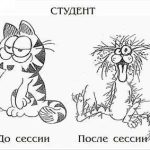 Как сдать сессию или как я провел июнь