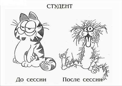 Как сдать сессию или как я провел июнь
